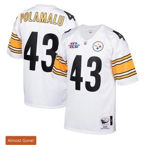 Troy Polamalu Jersey #43 SOLD